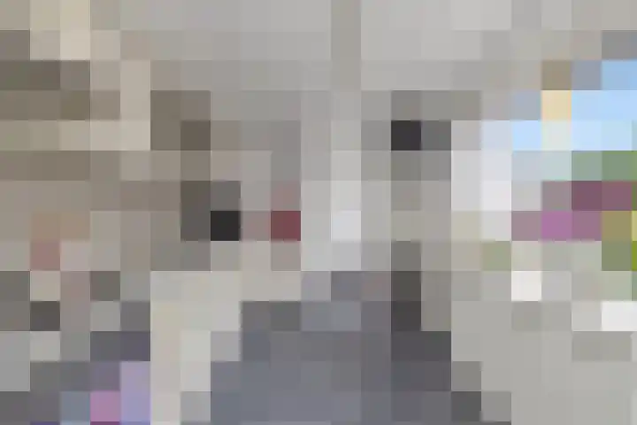 Hoofdstraat 53 Overdinkel thumbnail 22