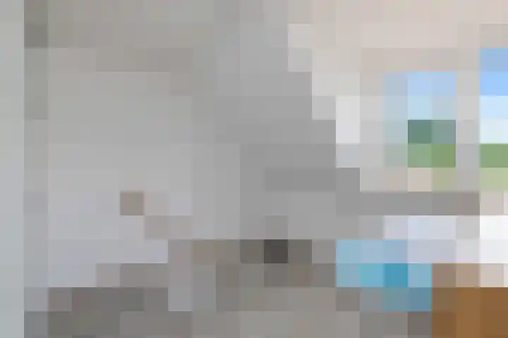 Hoofdstraat 53 Overdinkel thumbnail 29