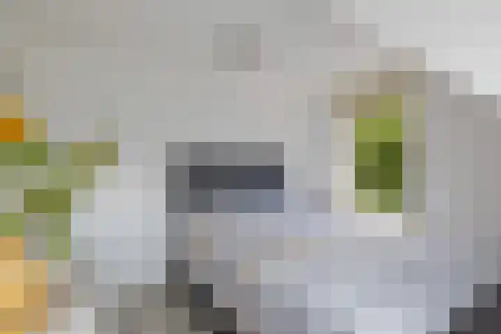 Hoofdstraat 53 Overdinkel thumbnail 31