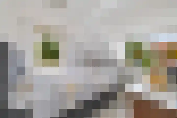Hoofdstraat 53 Overdinkel thumbnail 33