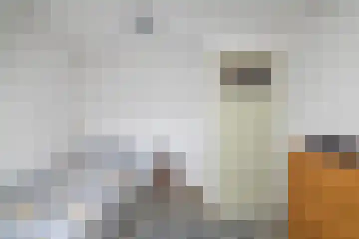 Hoofdstraat 53 Overdinkel thumbnail 39
