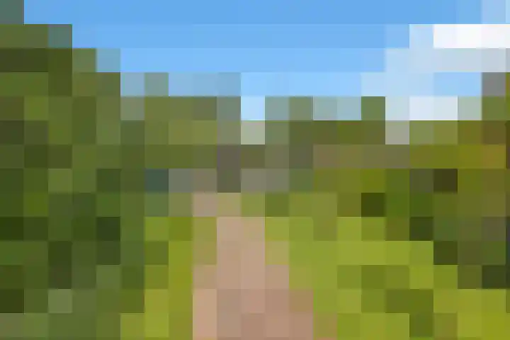 Hoofdstraat 53 Overdinkel thumbnail 4