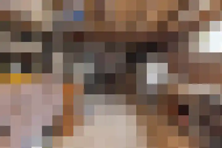 Hoofdstraat 53 Overdinkel thumbnail 47