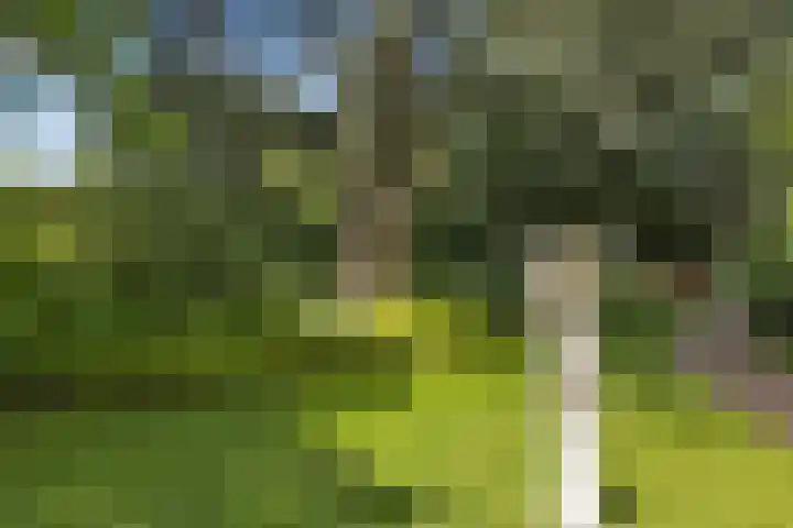Hoofdstraat 53 Overdinkel thumbnail 56