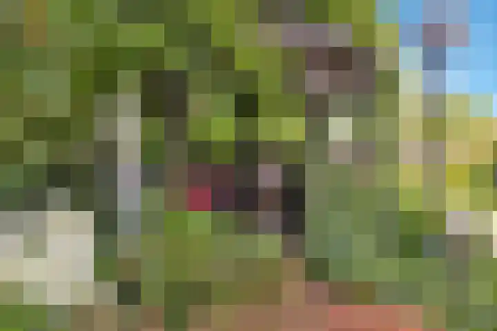Hoofdstraat 53 Overdinkel thumbnail 58