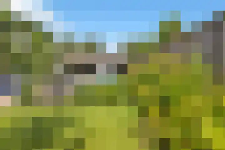 Hoofdstraat 53 Overdinkel thumbnail 60