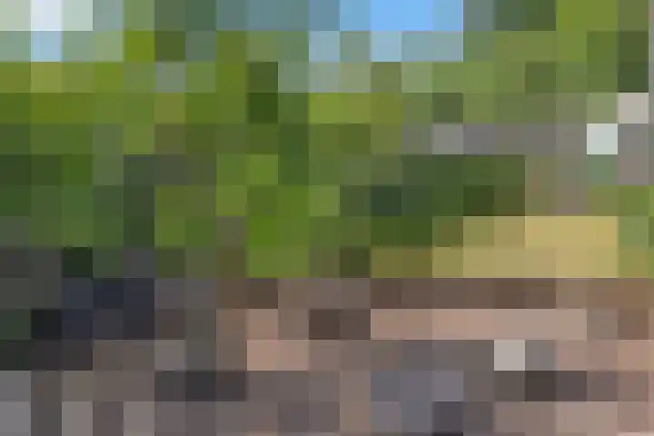 Hoofdstraat 53 Overdinkel thumbnail 61