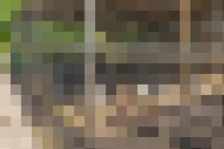 Hoofdstraat 53 Overdinkel thumbnail 62