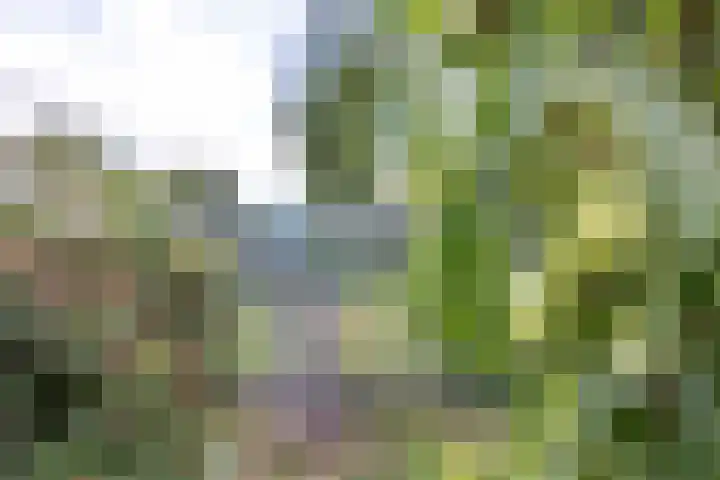 Hoofdstraat 53 Overdinkel thumbnail 63