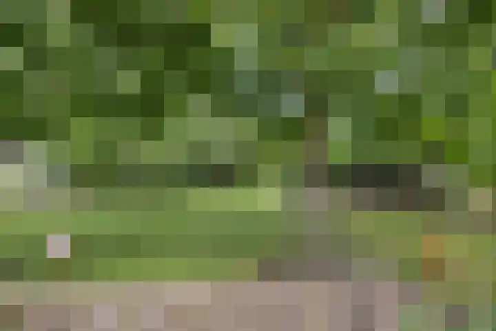 Hoofdstraat 53 Overdinkel thumbnail 64