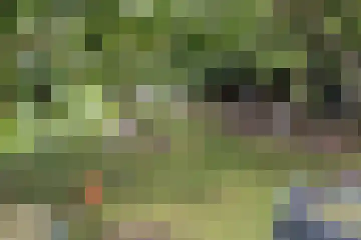 Hoofdstraat 53 Overdinkel thumbnail 65