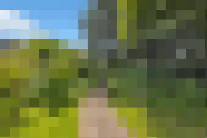 Hoofdstraat 53 Overdinkel thumbnail 66