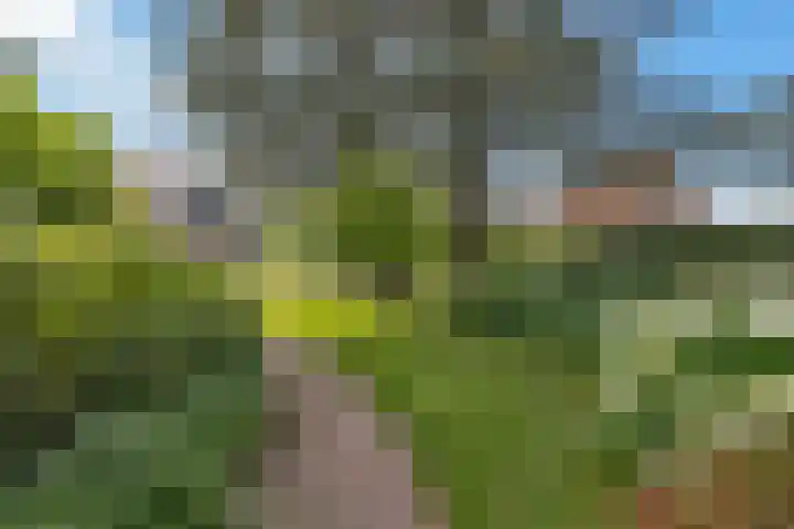 Hoofdstraat 53 Overdinkel thumbnail 67