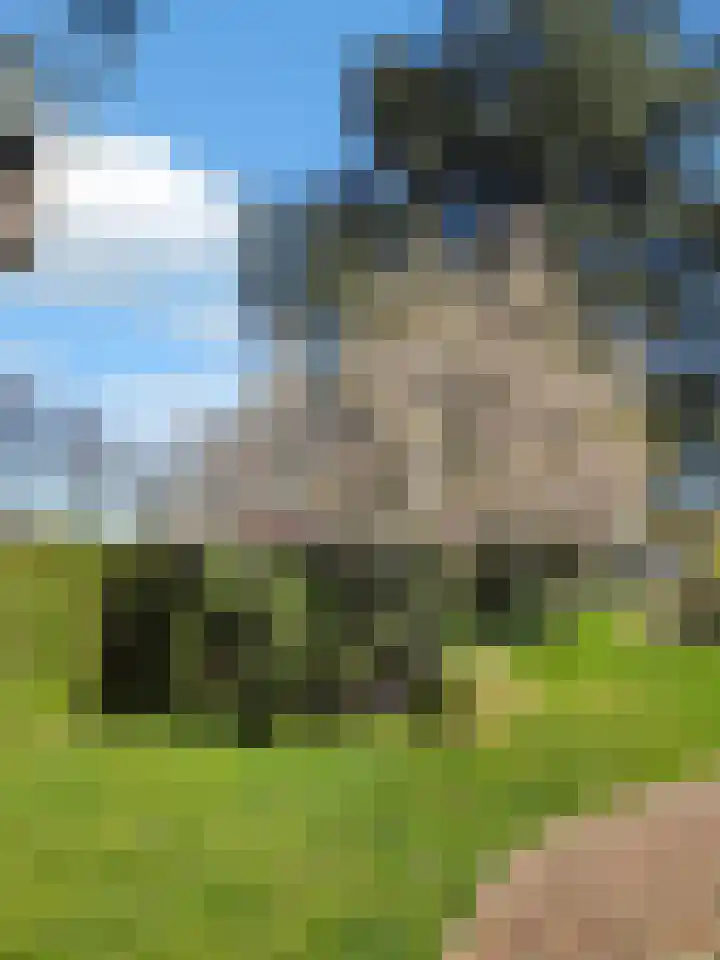Hoofdstraat 53 Overdinkel thumbnail 68