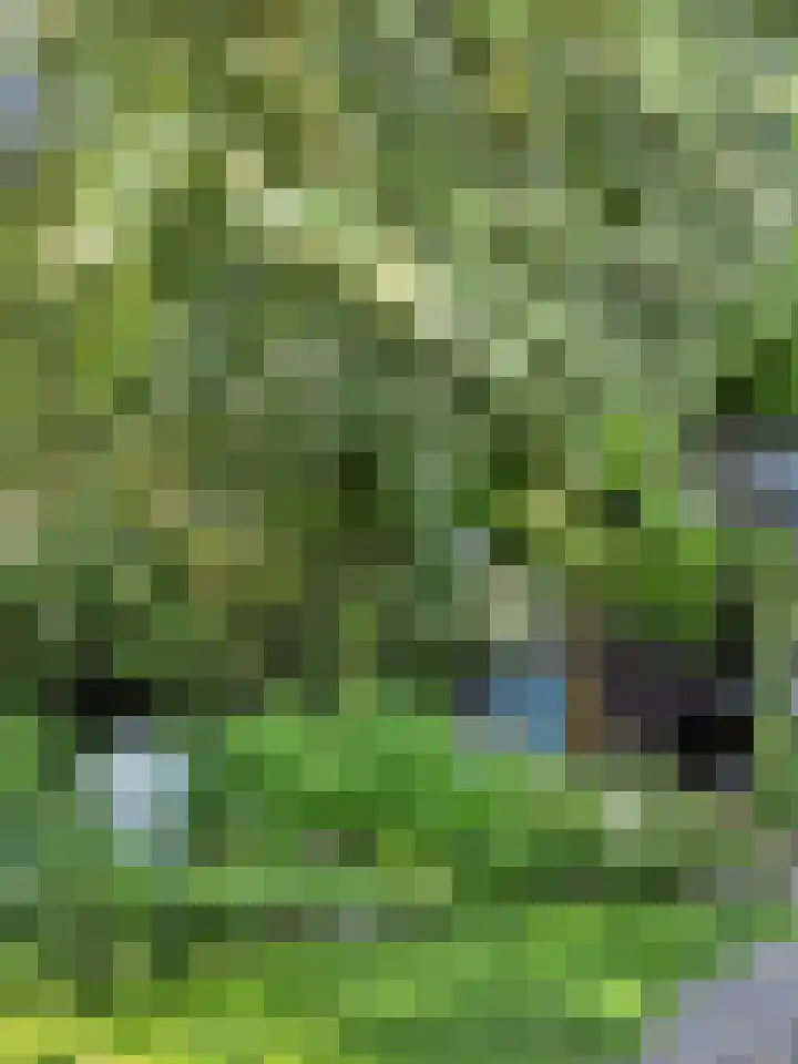Hoofdstraat 53 Overdinkel thumbnail 69