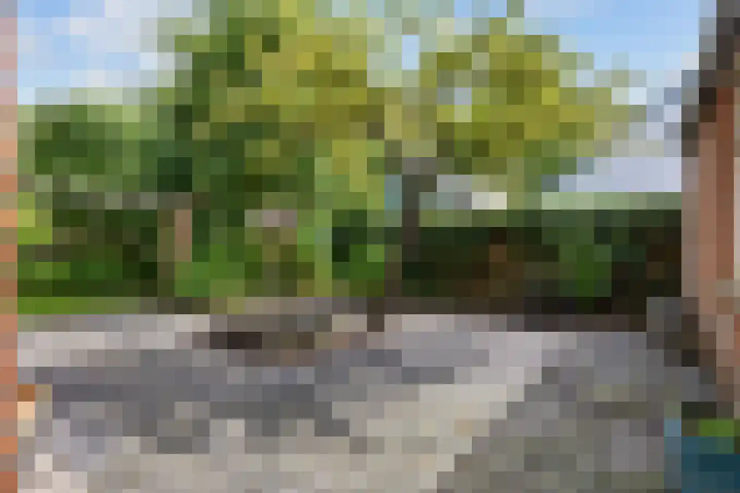 Hoofdstraat 53 Pieterburen thumbnail 33