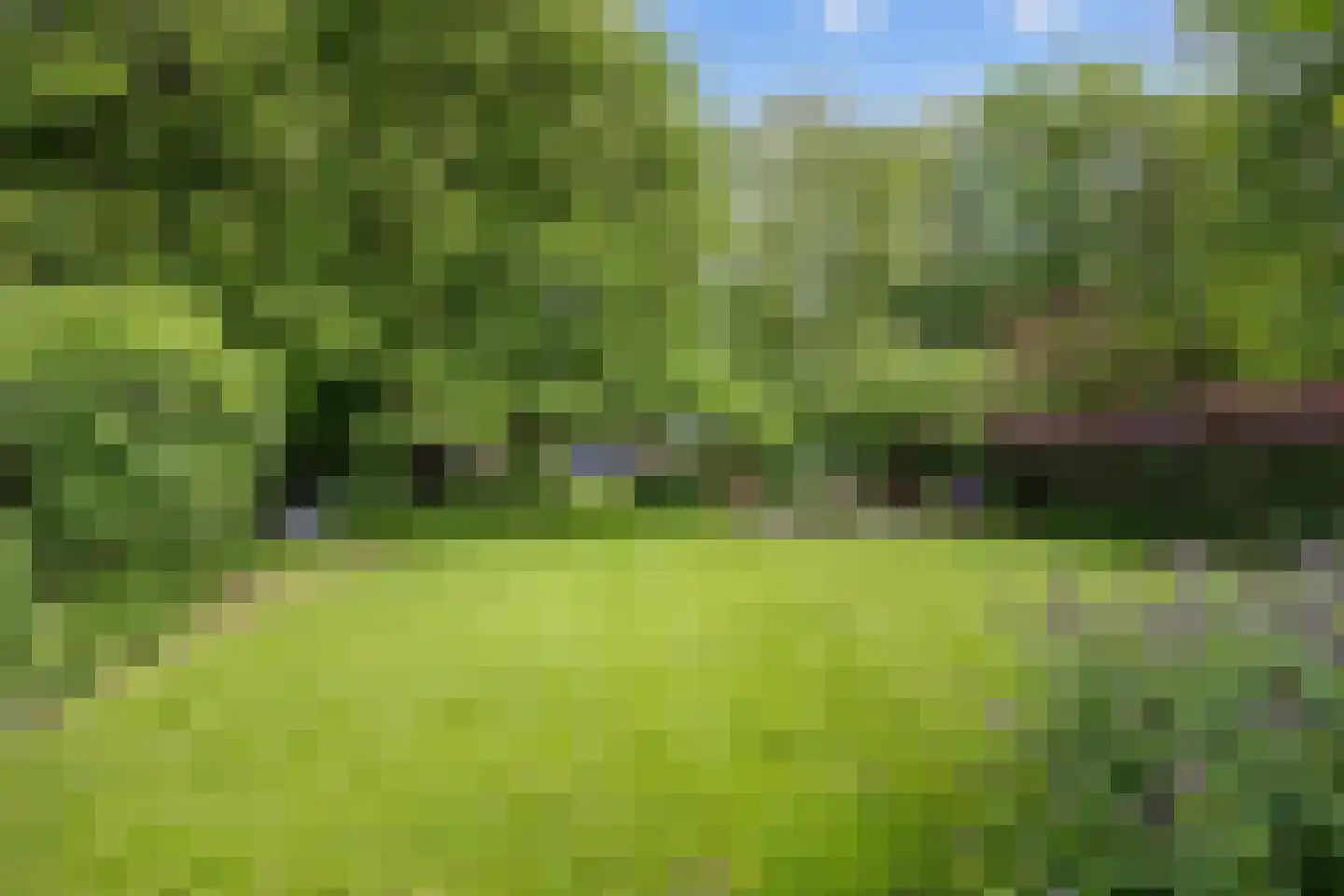 Hoofdstraat 53 Pieterburen thumbnail 40