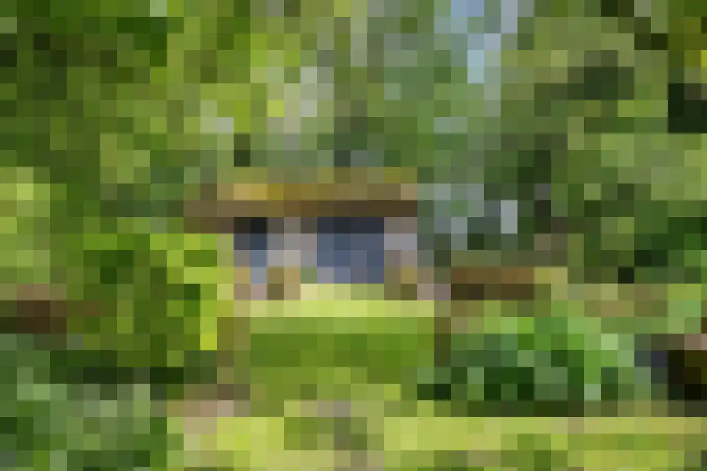 Hoofdstraat 53 Pieterburen thumbnail 42