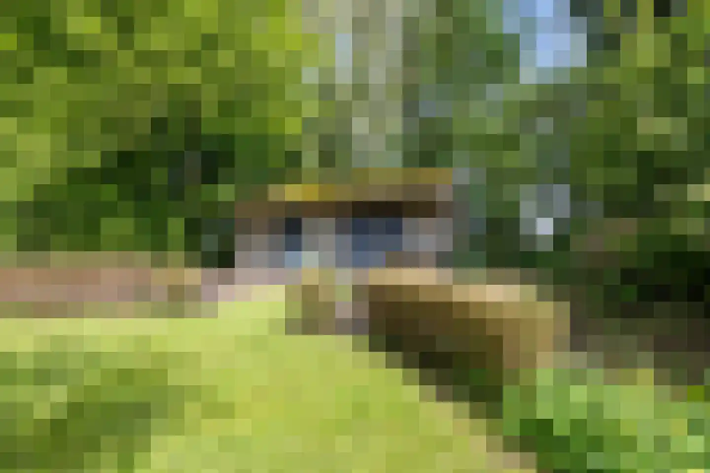 Hoofdstraat 53 Pieterburen thumbnail 43