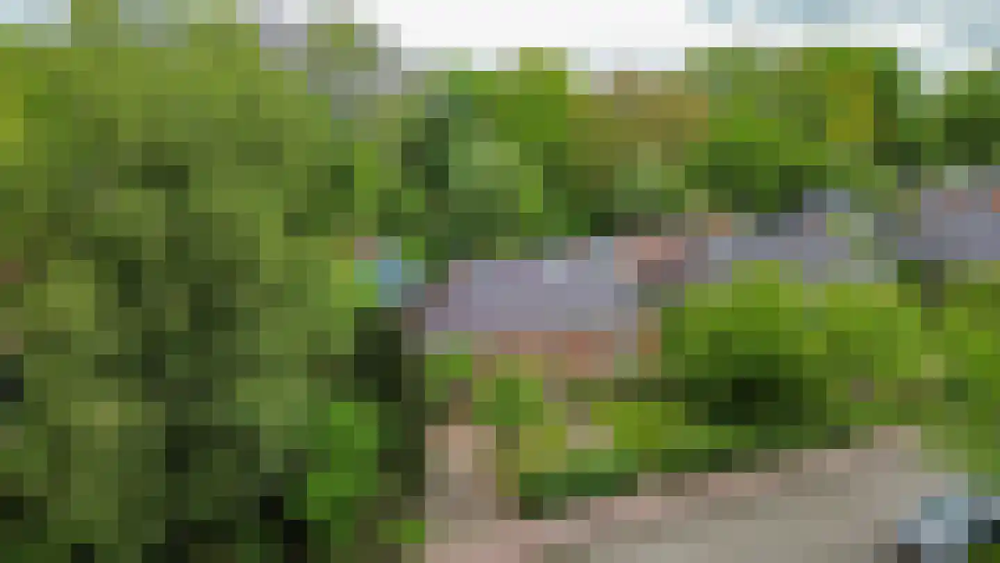 Hoofdstraat 53 Pieterburen thumbnail 45