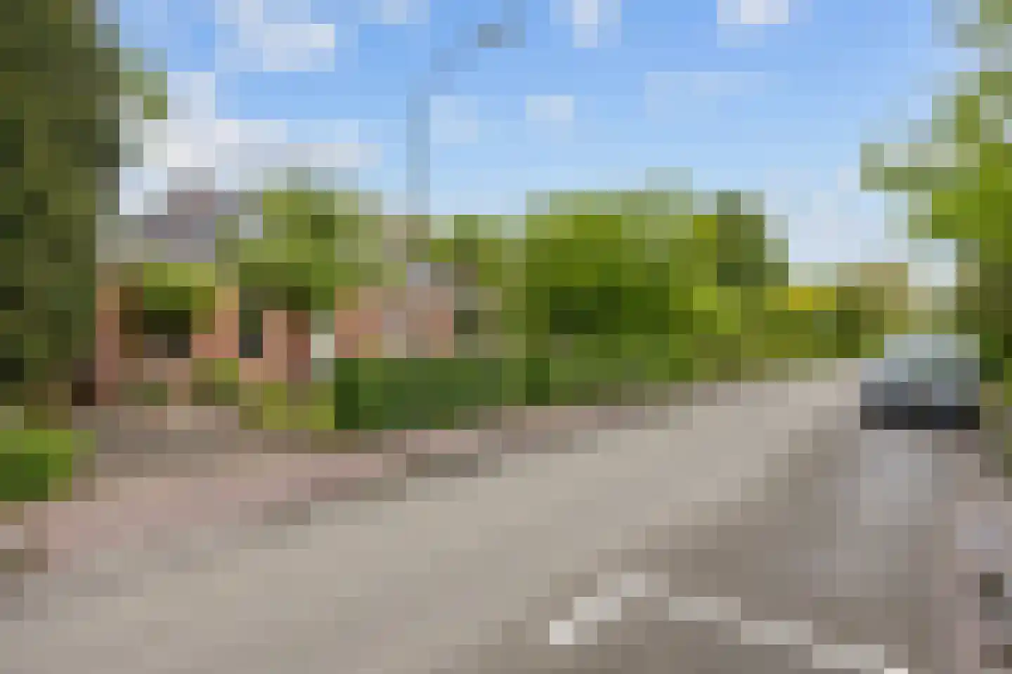 Hoofdstraat 53 Pieterburen thumbnail 5