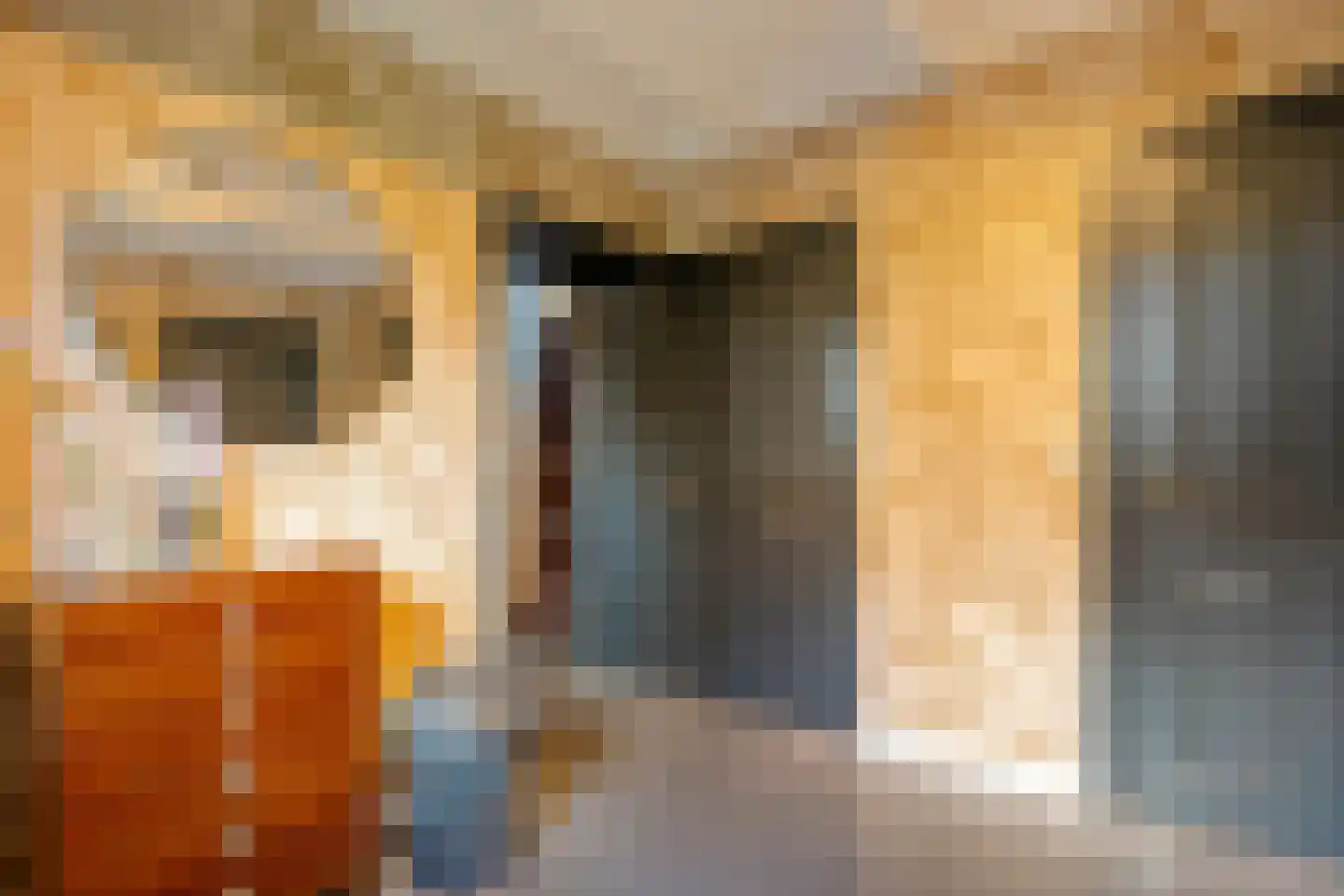 Hoofdstraat 54 a Diever thumbnail 13