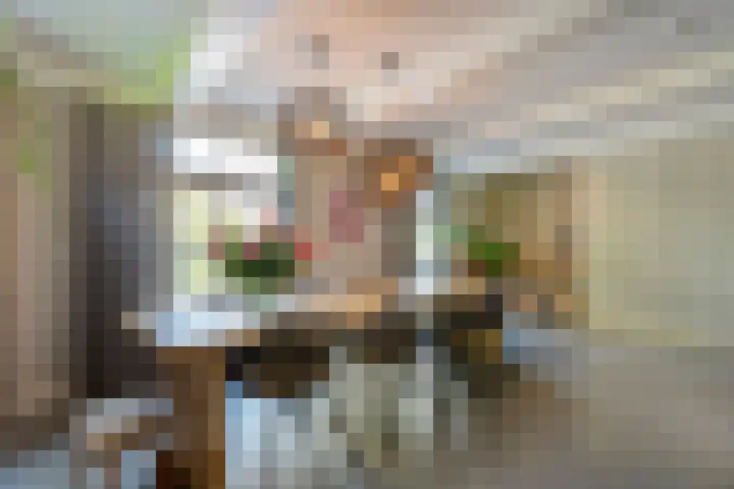 Hoofdstraat 54 a Diever thumbnail 19