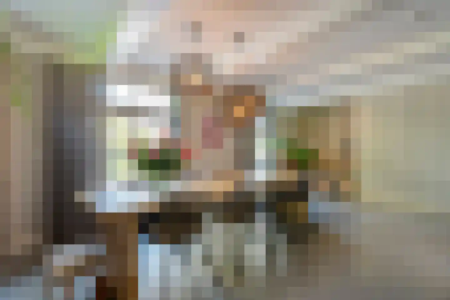 Hoofdstraat 54 a Diever thumbnail 21