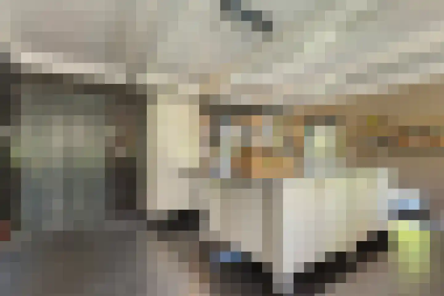 Hoofdstraat 54 a Diever thumbnail 23