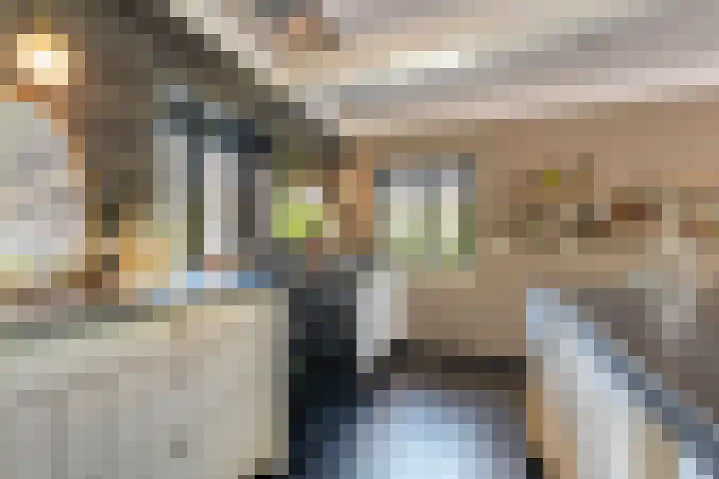 Hoofdstraat 54 a Diever thumbnail 25