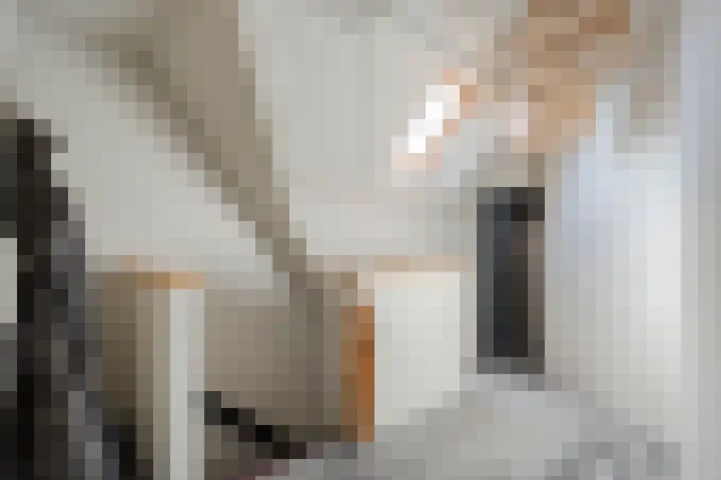 Hoofdstraat 54 a Diever thumbnail 26