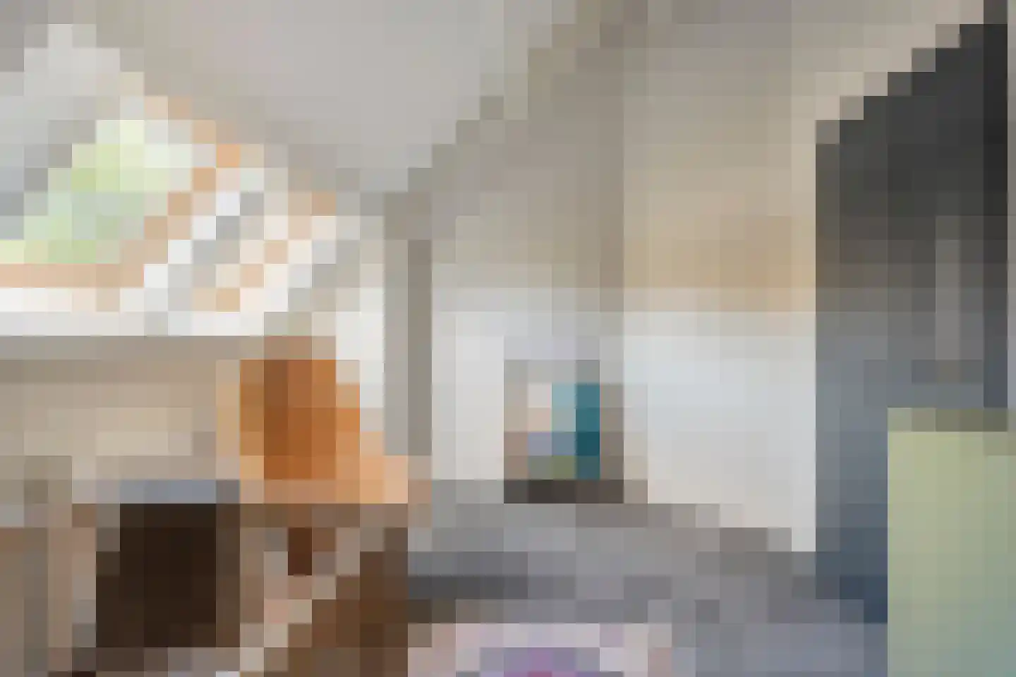 Hoofdstraat 54 a Diever thumbnail 34