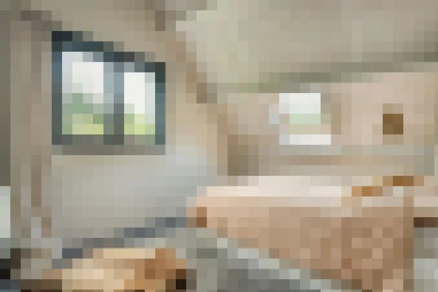 Hoofdstraat 54 a Diever thumbnail 35