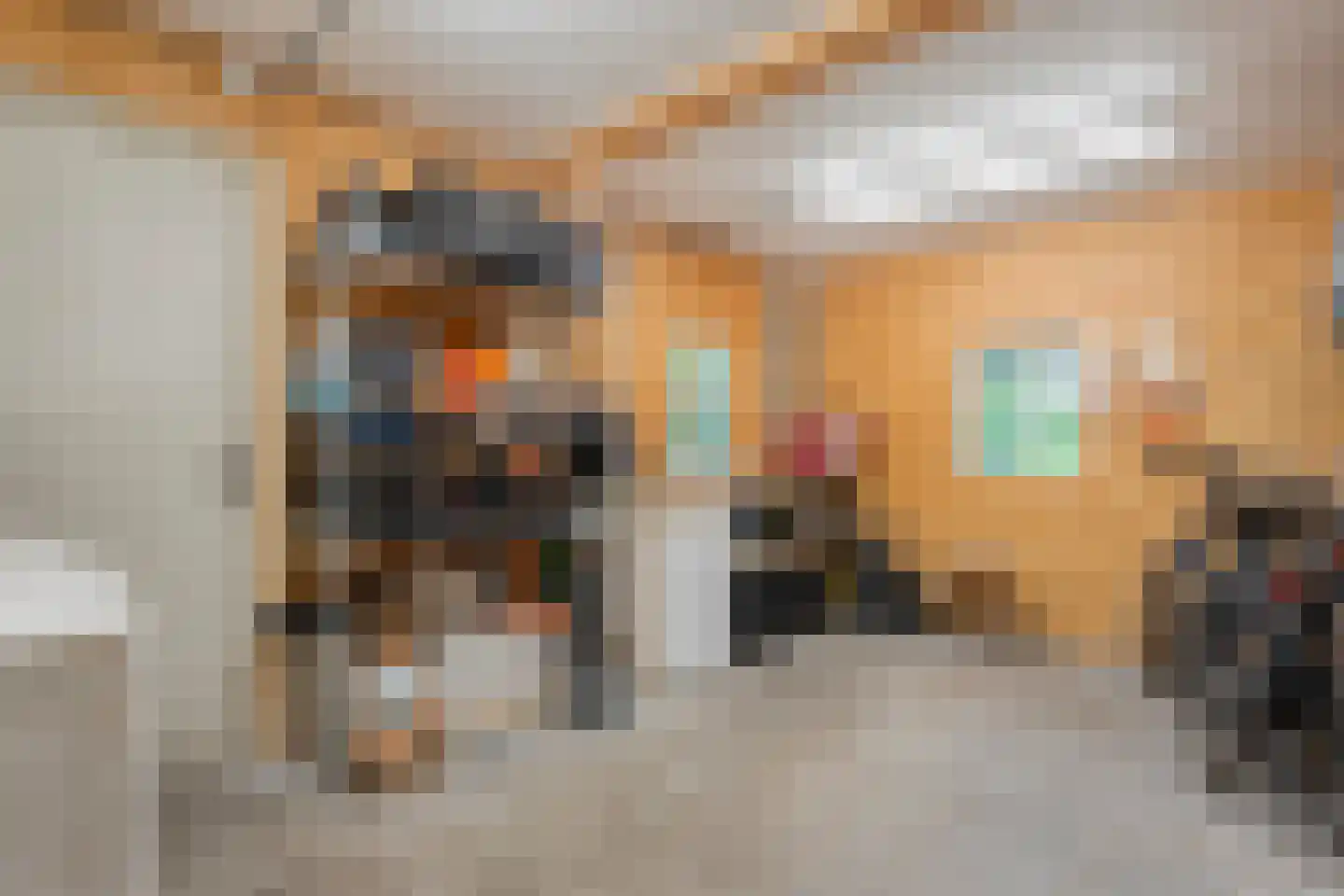 Hoofdstraat 54 a Diever thumbnail 43