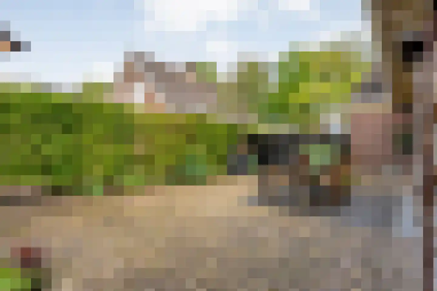 Hoofdstraat 54 a Diever thumbnail 43