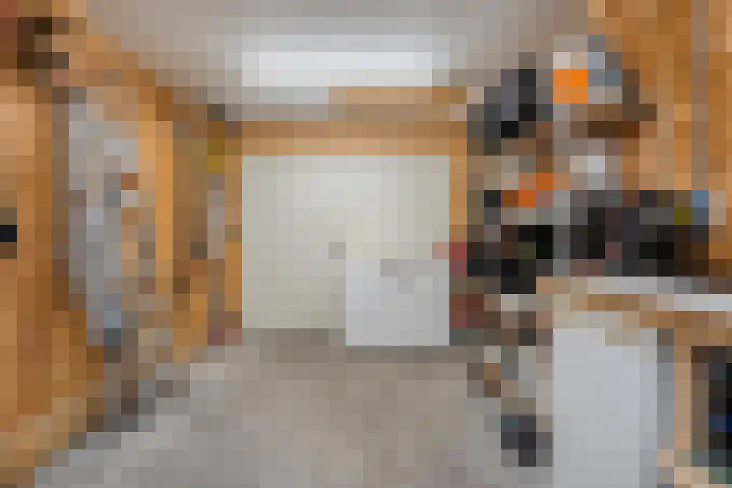 Hoofdstraat 54 a Diever thumbnail 45