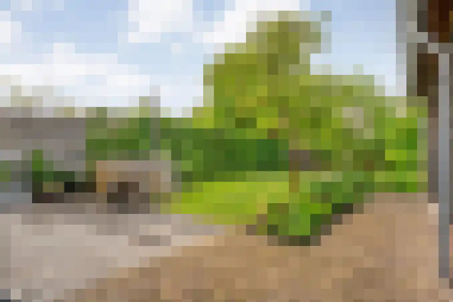 Hoofdstraat 54 a Diever thumbnail 48