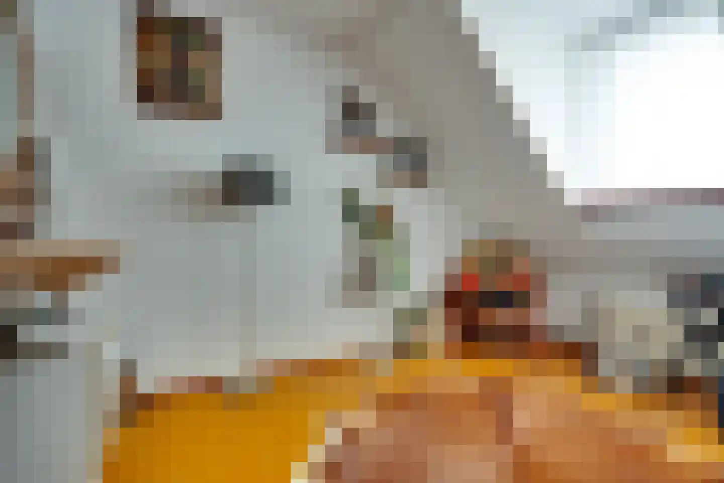 Hoofdstraat 54 Een thumbnail 34