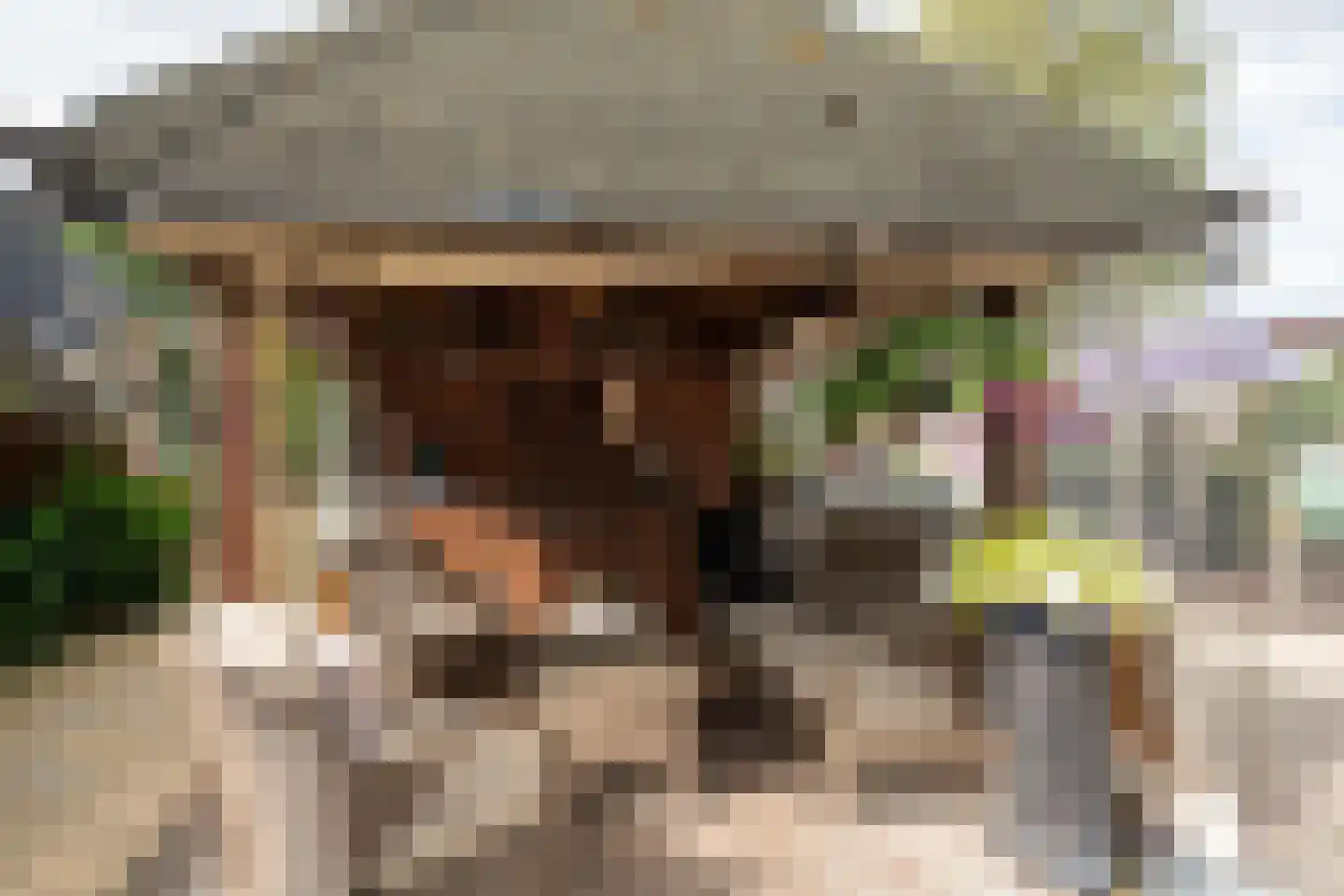 Hoofdstraat 54 Een thumbnail 43