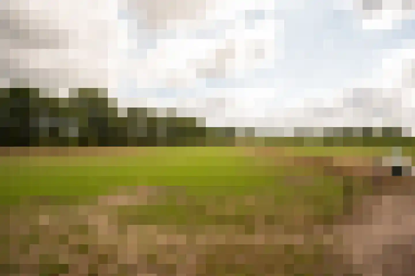 Hoofdstraat 54 Een thumbnail 50