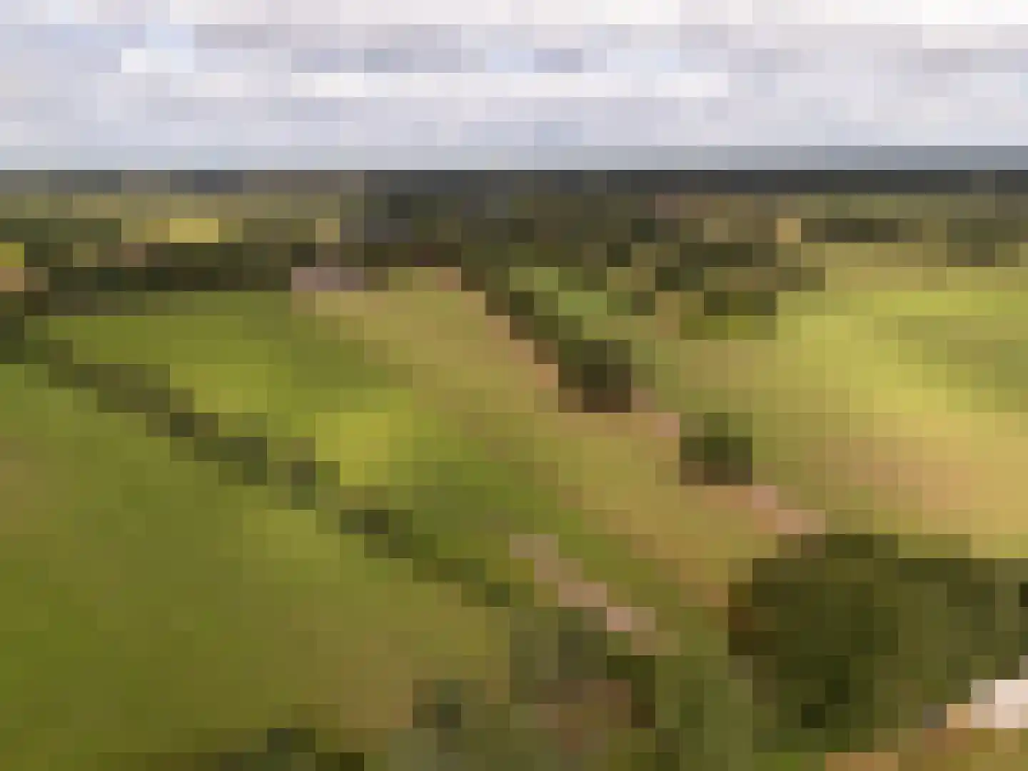Hoofdstraat 54 Een thumbnail 68