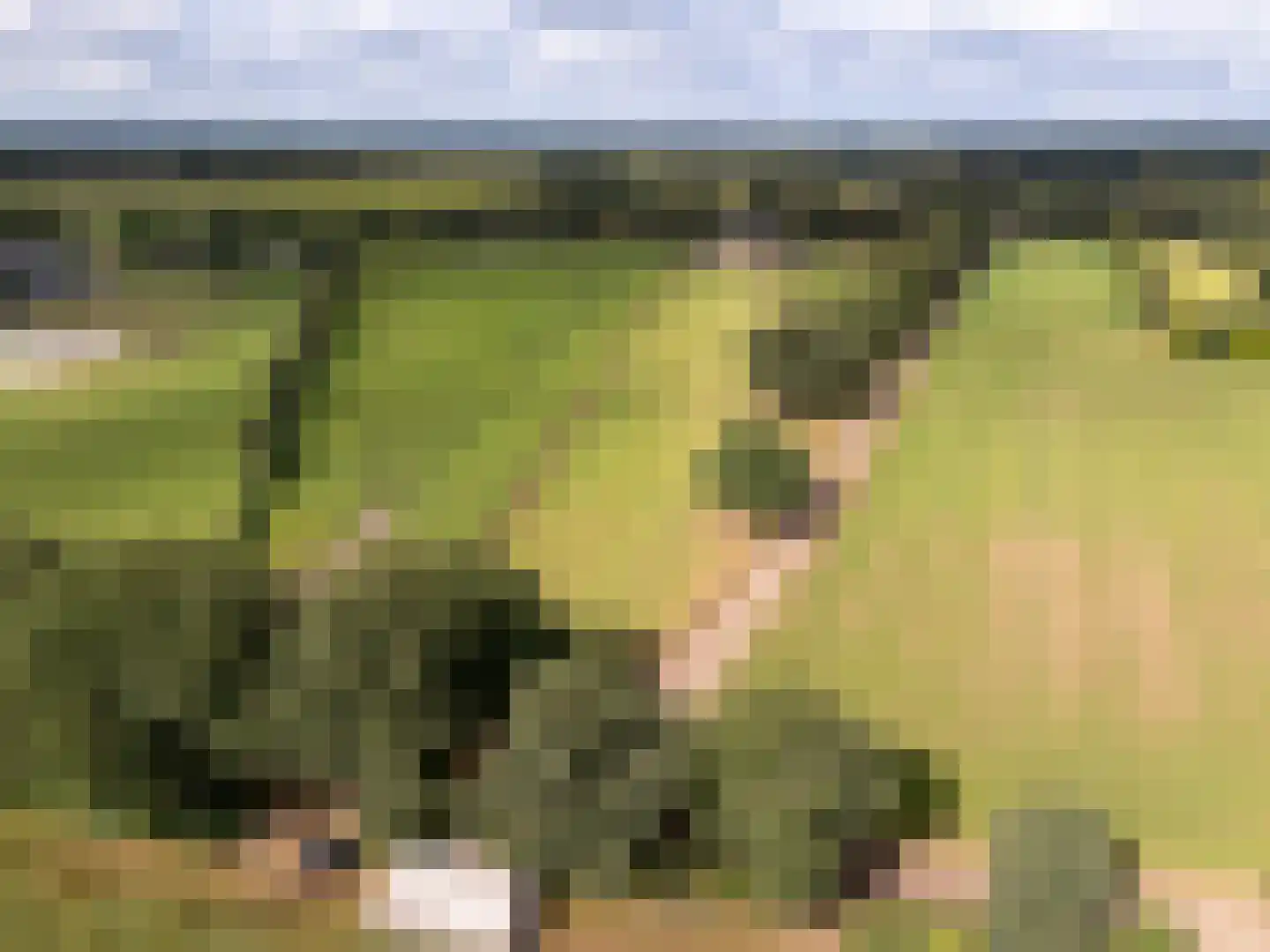 Hoofdstraat 54 Een thumbnail 70