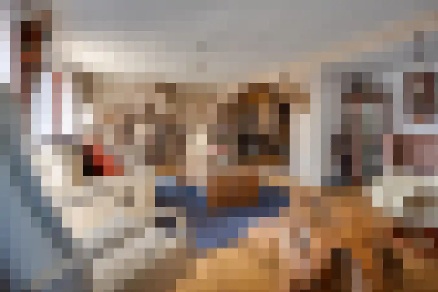 Hoofdstraat 54 Een thumbnail 8