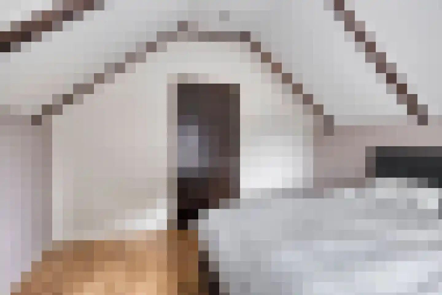 Hoofdstraat 54 Grootegast thumbnail 15