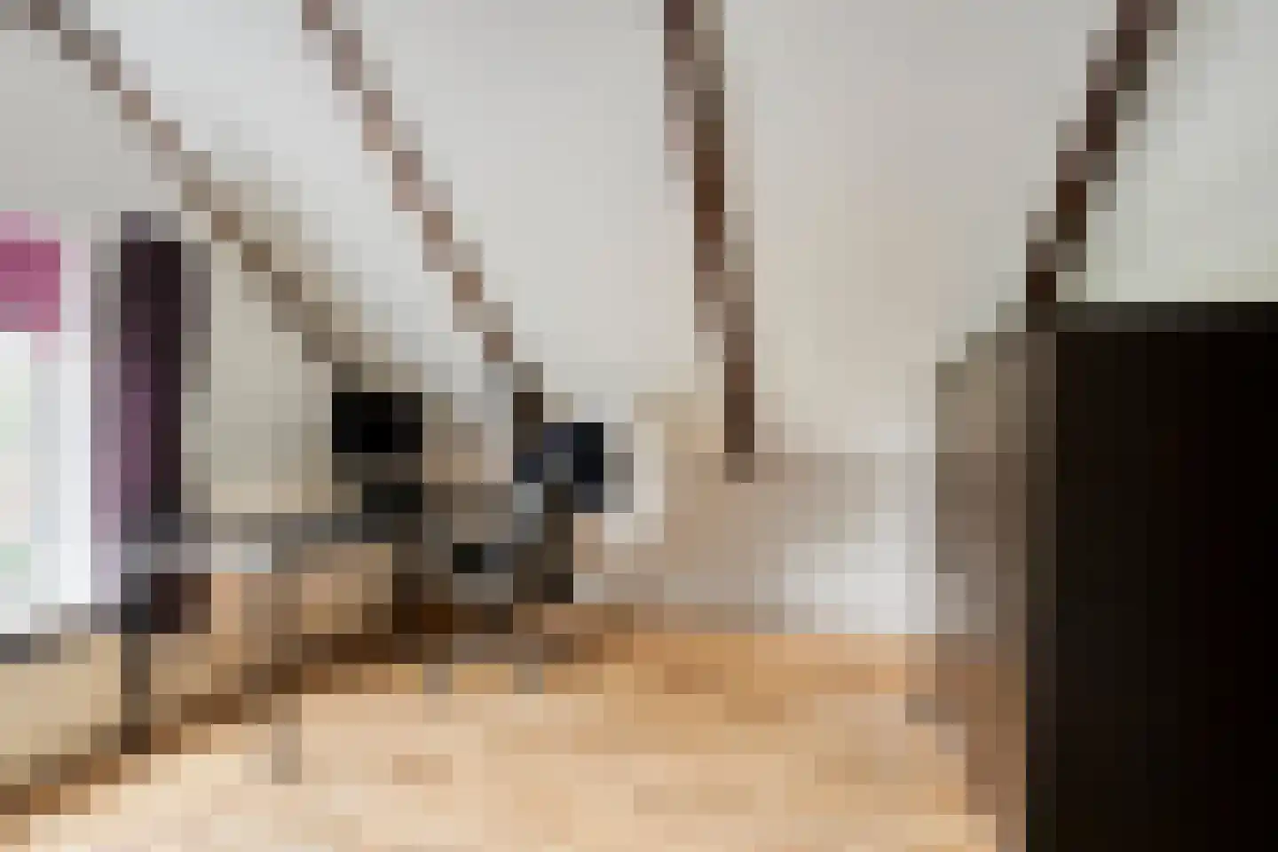 Hoofdstraat 54 Grootegast thumbnail 16