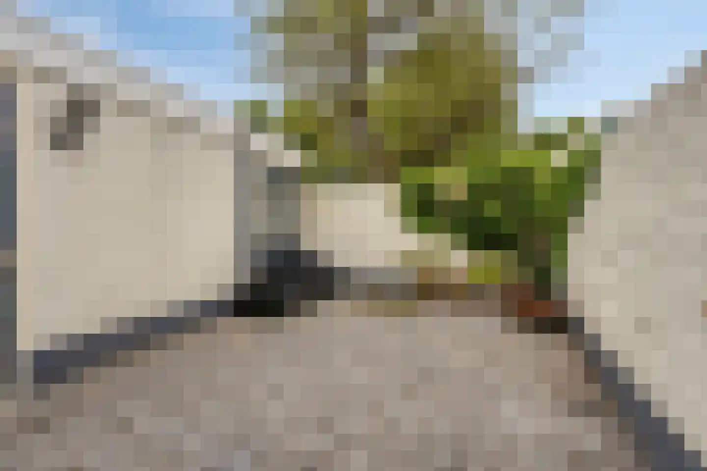 Hoofdstraat 54 Grootegast thumbnail 18