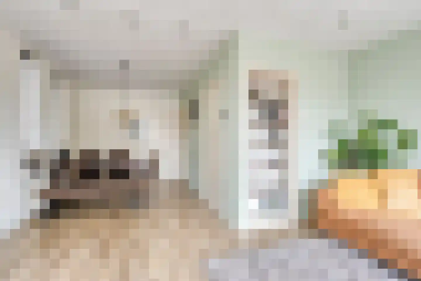 Hoofdstraat 54 Grootegast thumbnail 4