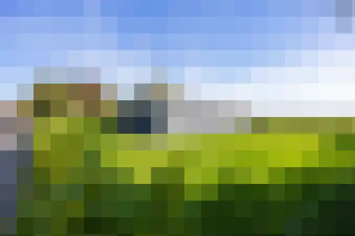 Hoofdstraat 54 Houwerzijl thumbnail 5