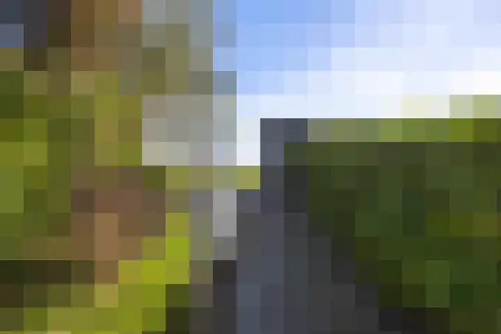 Hoofdstraat 54 Houwerzijl thumbnail 7