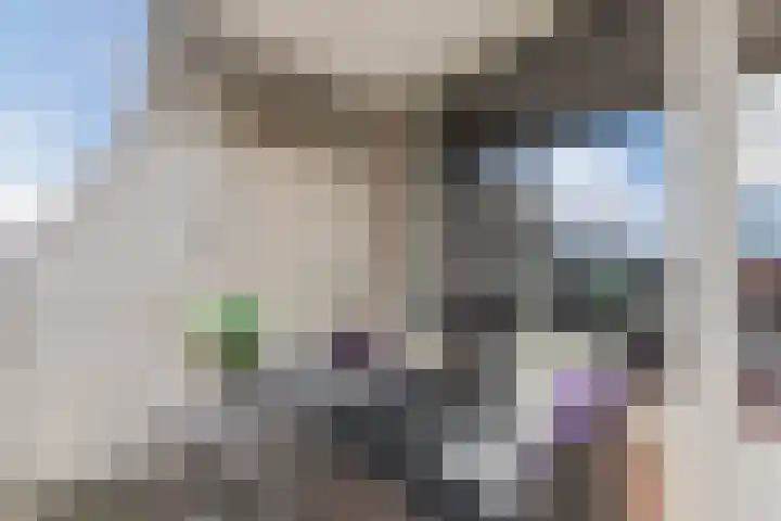 Hoofdstraat 54 K Best thumbnail 43